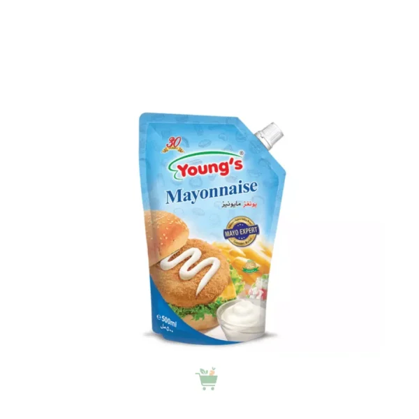 Young's Mayonnaise (500 ML)