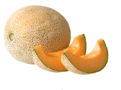 Melon (Kharbooza)