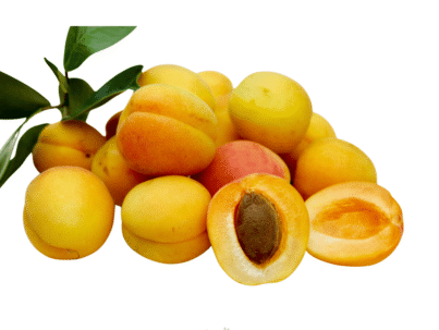 Apricot (Khubani)