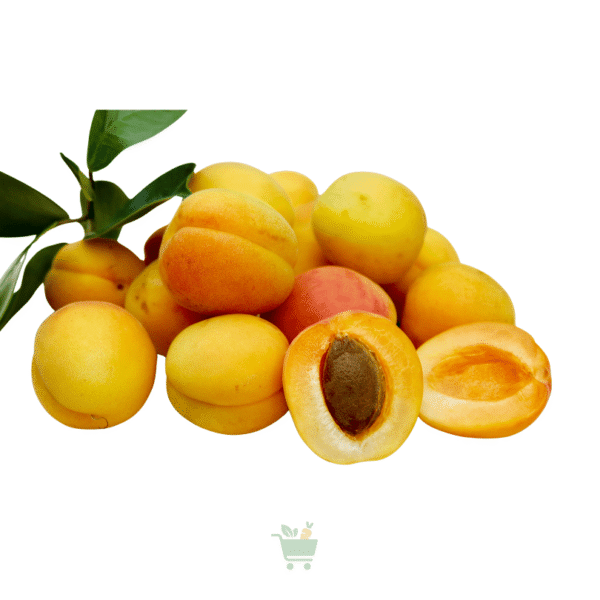 Apricot (Khubani)