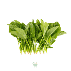 Spinach (Palak)