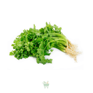 Coriander Leaves (Hara Dhania)