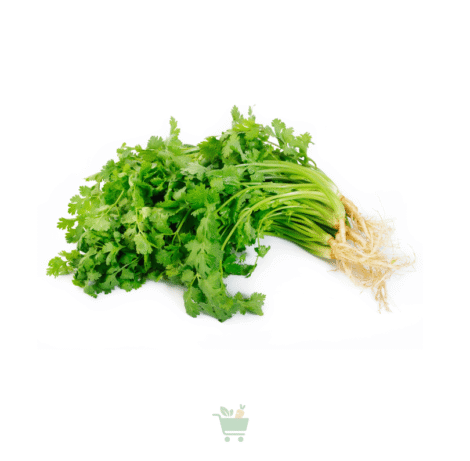 Coriander Leaves