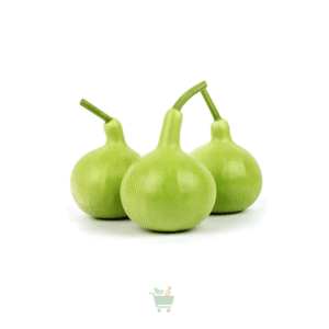 Bottle Gourd Round (Lauki)