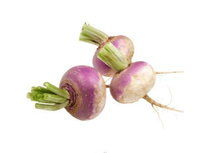 Turnip (Shaljam)