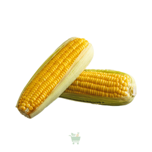 Sweet Corn (Makai)