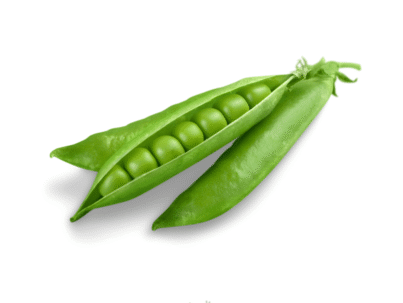 Peas (Matar)